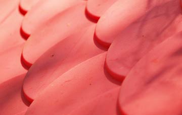 Charnock Richard plastic roof costs