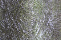 Charnock Richard fibreglass roof work